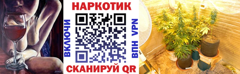 Сколько стоит Почеп Марихуана Мефедрон Гашиш