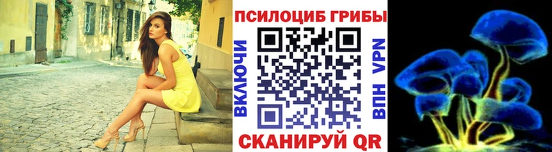даркнет состав  Почеп  Галлюциногенные грибы мицелий  купить наркотик  MEGA маркетплейс 