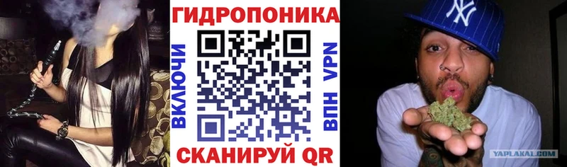 Бошки Шишки конопля  Почеп 